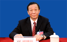 集团副总裁顾踊跃