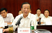 集团副总裁顾踊跃
